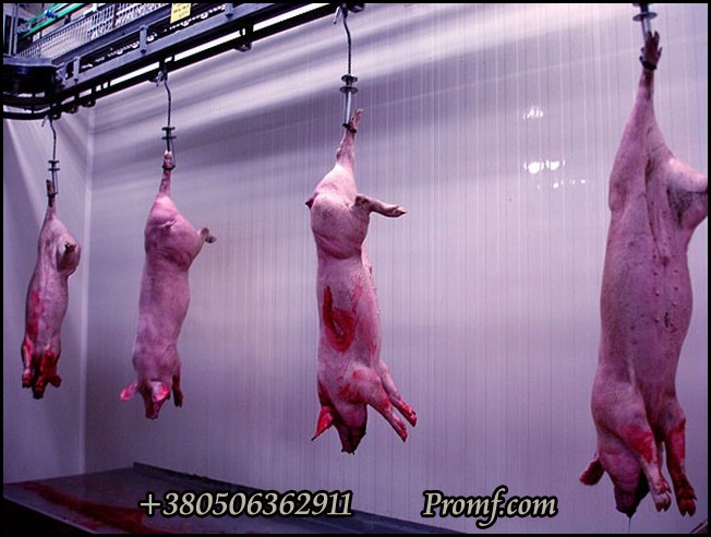 Линии убоя свиней, фото 4