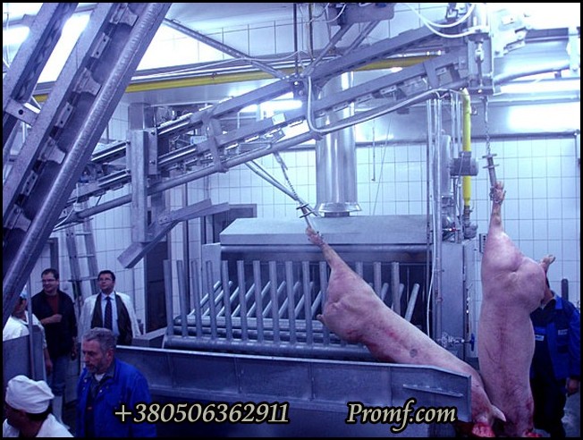 Линии убоя свиней, фото 12