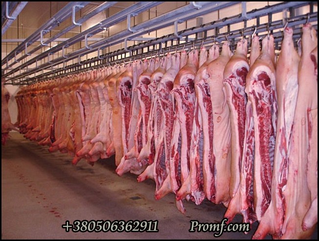 Линии убоя свиней, фото 14