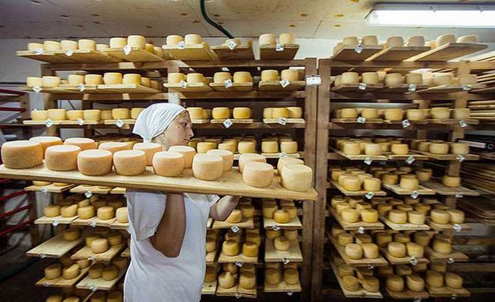 Идеи для бизнеса: производство сыра