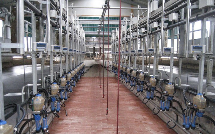 Automated milking room 