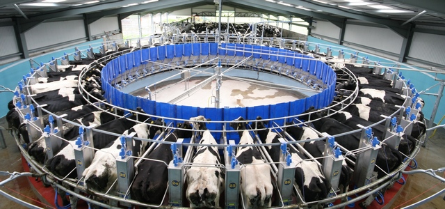 Automated milking room 