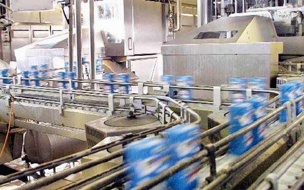 Идеи для бизнеса: производство и продажа кисломолочной продукции