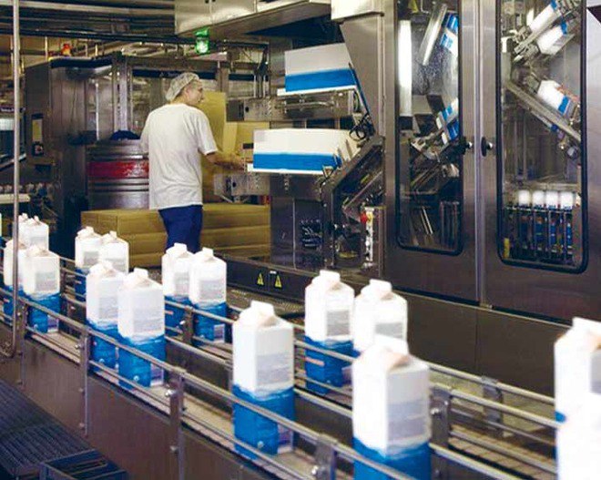 Идеи для бизнеса: производство и продажа кисломолочной продукции