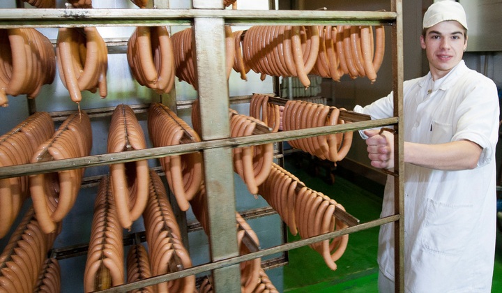 Sausage factory on sale