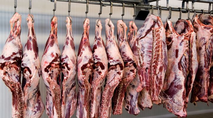 Meat Processing Business